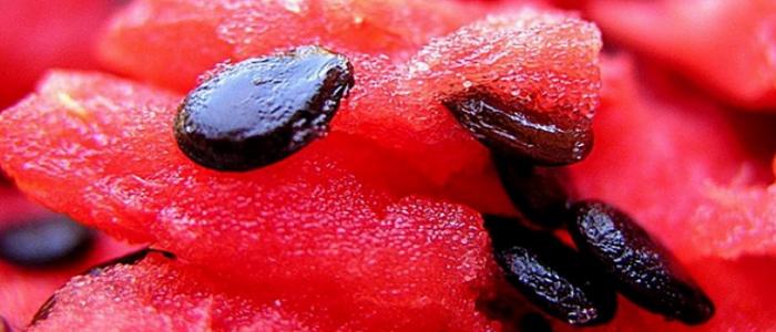 فاكهة البطيخ
